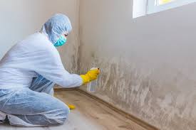 Why You Should Choose Our Mold Remediation Services in Fairlawn, OH